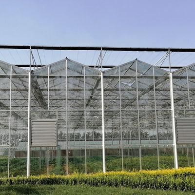 Water Production Agricultural Greenhouse Manufacturer Growing Hydroponic System Rooling Bench System