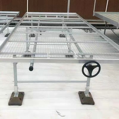 1.7m 1.8m Welded Wire Mesh Steel Rolling Benches Table Seedbed For Vegetable Nursery Seedling In Greenhouse