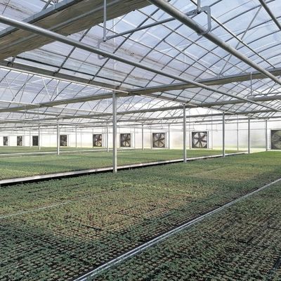 1.7m 1.8m Welded Wire Mesh Steel Rolling Benches Table Seedbed For Vegetable Nursery Seedling In Greenhouse