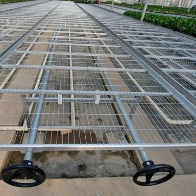 1.7m 1.8m Welded Wire Mesh Steel Rolling Benches Table Seedbed For Vegetable Nursery Seedling In Greenhouse