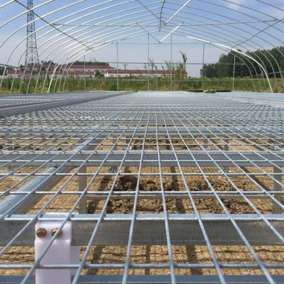 1.7m 1.8m Welded Wire Mesh Steel Rolling Benches Table Seedbed For Vegetable Nursery Seedling In Greenhouse