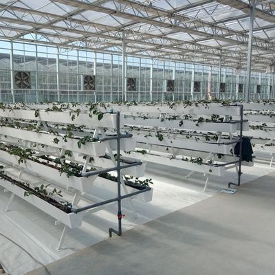 Water Production Agricultural Greenhouse Manufacturer Growing Hydroponic System Rooling Bench System