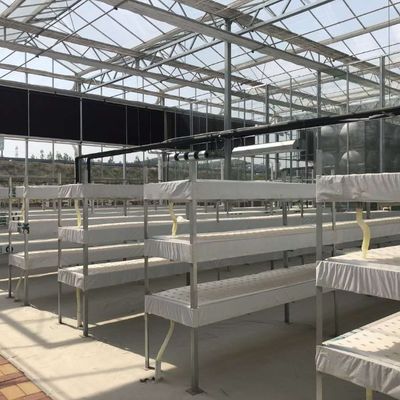 Water Production Agricultural Greenhouse Manufacturer Growing Hydroponic System Rooling Bench System
