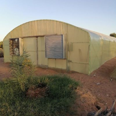 Wave Plate Heavy Duty Polytunnel Plastic Head Roof Yellow Film Vegetable Growing