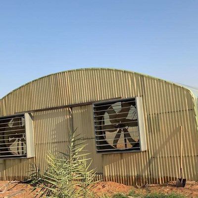 Wave Plate Heavy Duty Polytunnel Plastic Head Roof Yellow Film Vegetable Growing