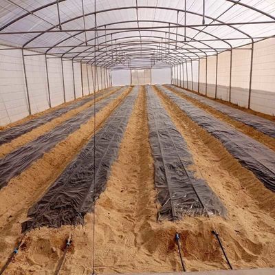 Wave Plate Heavy Duty Polytunnel Plastic Head Roof Yellow Film Vegetable Growing