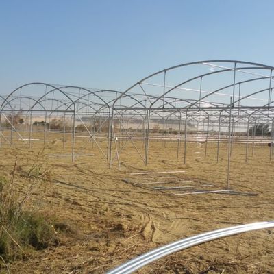 Wave Plate Heavy Duty Polytunnel Plastic Head Roof Yellow Film Vegetable Growing