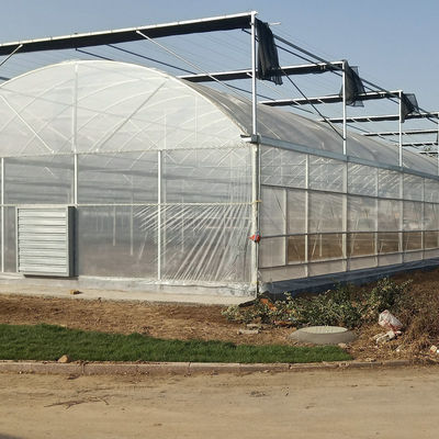 Structure Galvanized Steel Low Cost Green House Multi Span Agricultural Greenhouses For Vegetable Tomato Growing
