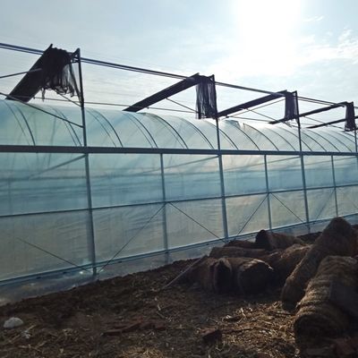 Structure Galvanized Steel Low Cost Green House Multi Span Agricultural Greenhouses For Vegetable Tomato Growing