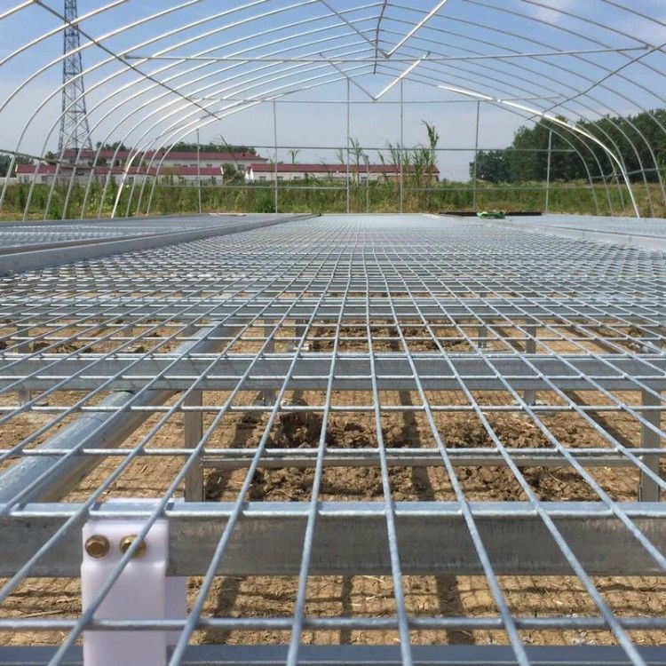 1.7m 1.8m Welded Wire Mesh Steel Rolling Benches Table Seedbed For Vegetable Nursery Seedling In Greenhouse